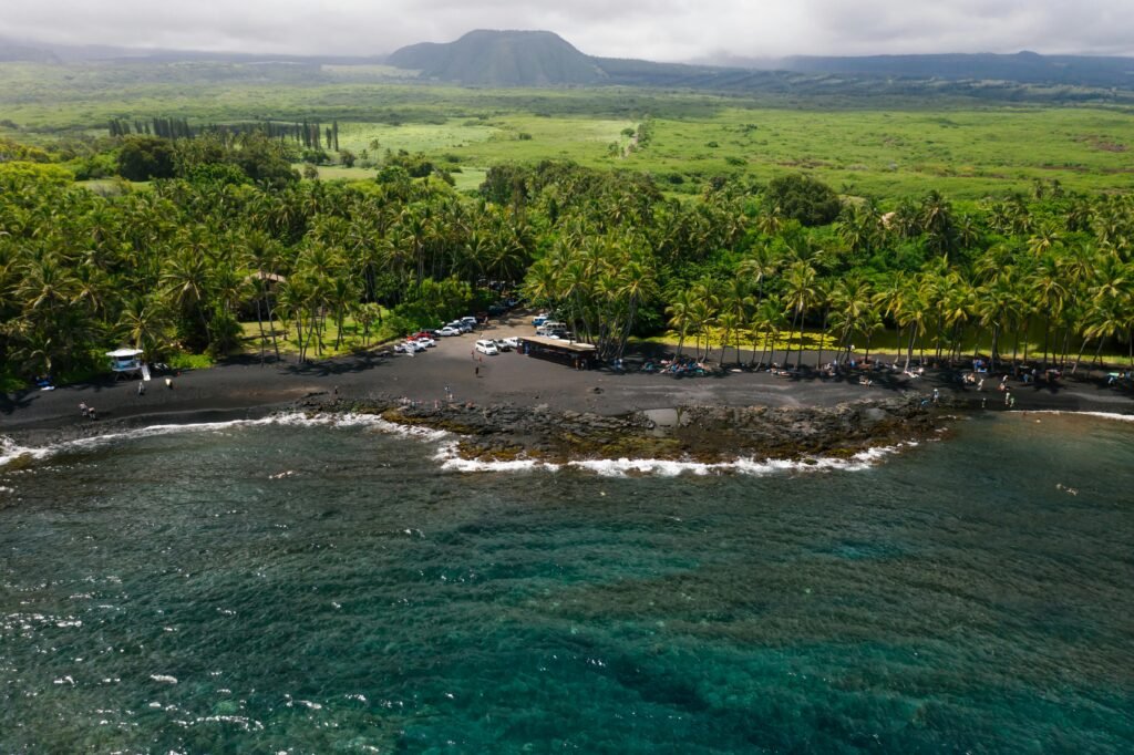 Explore a stunning tropical black sand beach with lush palm trees from above, ideal for vacation inspiration.
